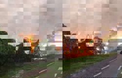 Bomba battles forest fire in Bandar Puteri