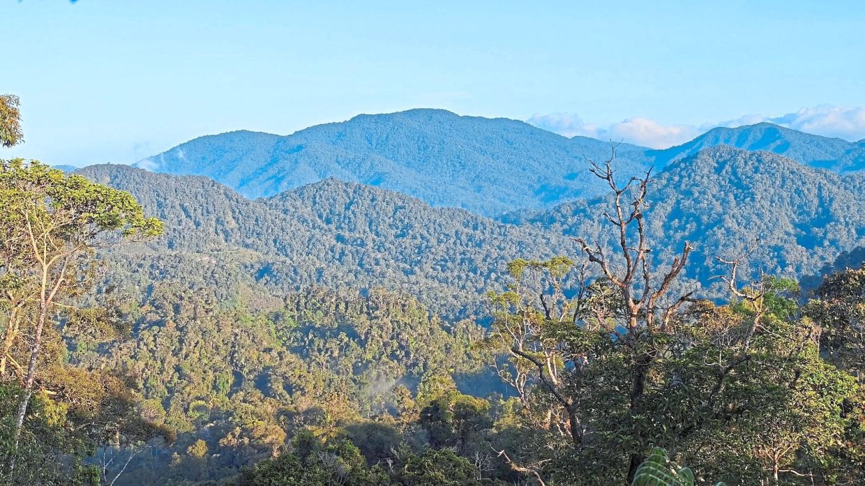 Sunrise with blue skies at Fraser’s Hill.