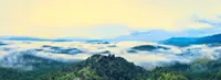 A hike at Bukit Botak in Pahang offers more than just endless views