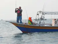 Prized catch, little bother: fishing for pelagics only needs patience and the right rig