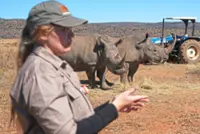 Scientists make rhino horns radioactive to fight poaching in South Africa
