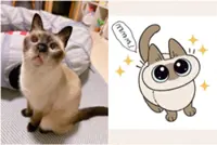 Feline that inspired cartoon cat Azuki-San dies