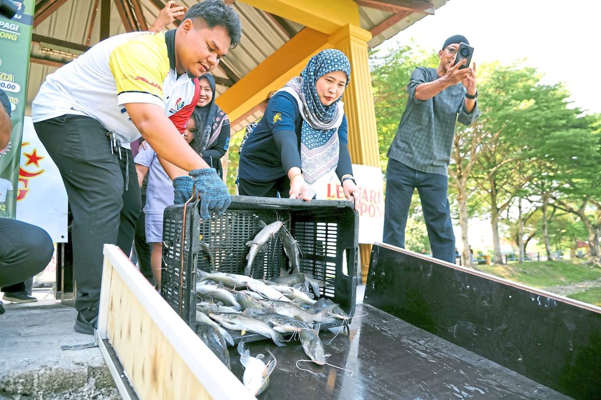 Fish being released into Taman Tasik Sri Aman.