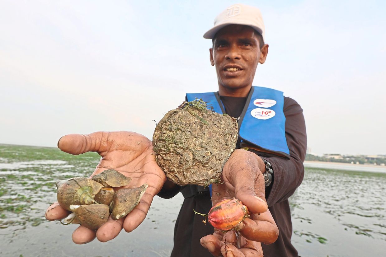 A fisherman with dog conches (left), windowpane shell (centre) and thorny sea cucumber found among the seagrass in Tanjung Kupang.