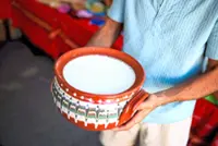 Chinese tourists visit this Bulgarian mountain village for ... yoghurt