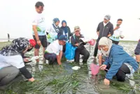 Saving Tanjung Kupang’s hidden marine meadows