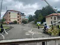 Zara’s inquest: New fall simulation with water-weighted mannequins