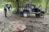 Thailand's Department of National Parks to confine five lions that killed zookeeper at Safari World for behavioural adjustment