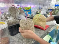 Feed importers warn SST will raise cost of chicken, eggs and meat