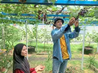 From jobless to grape-ful