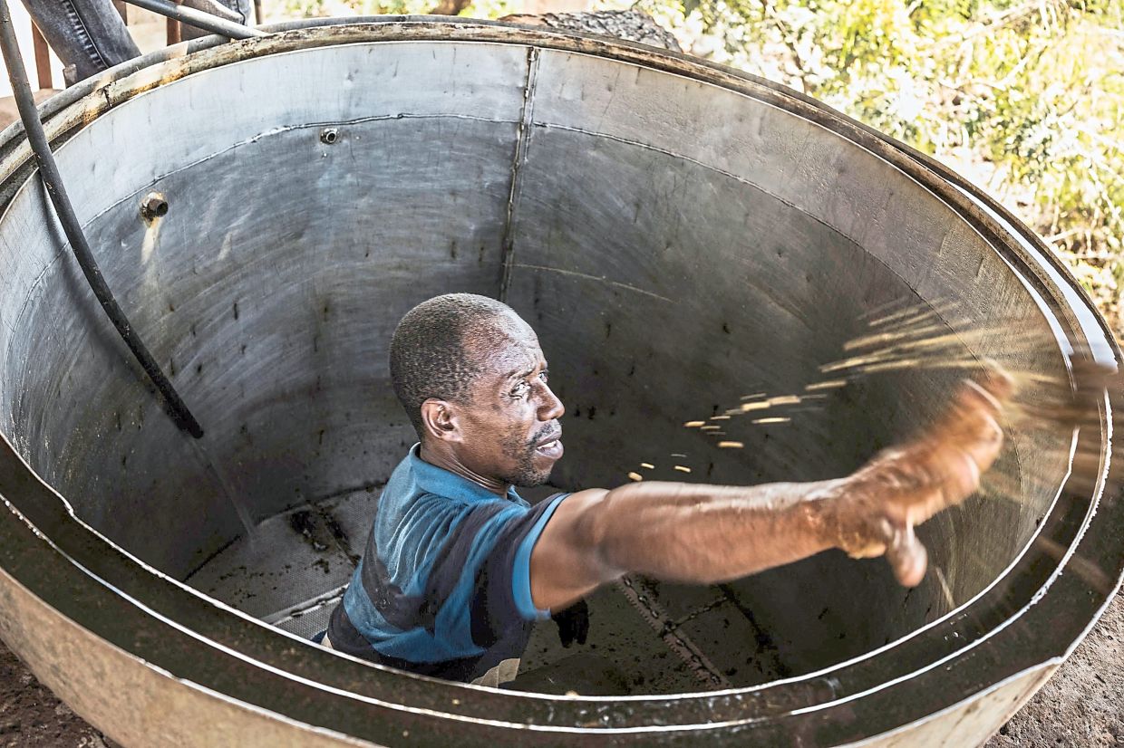 A worker removes the residual material from an alembic at the end of the ylang-ylang flowers distilling process.