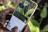How AI is helping some small-scale farmers weather a changing climate