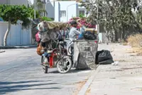 Tunisia plastic collectors spread as economic, migration woes deepen
