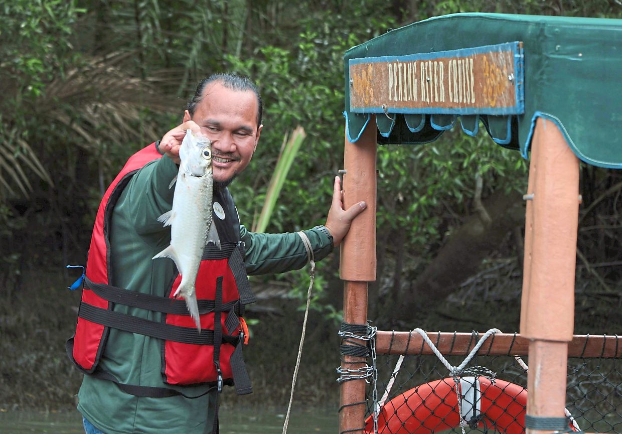 A cruise operator casting a net (right) and showing a fish (above) caught in what was once the dirtiest river in Malaysia.