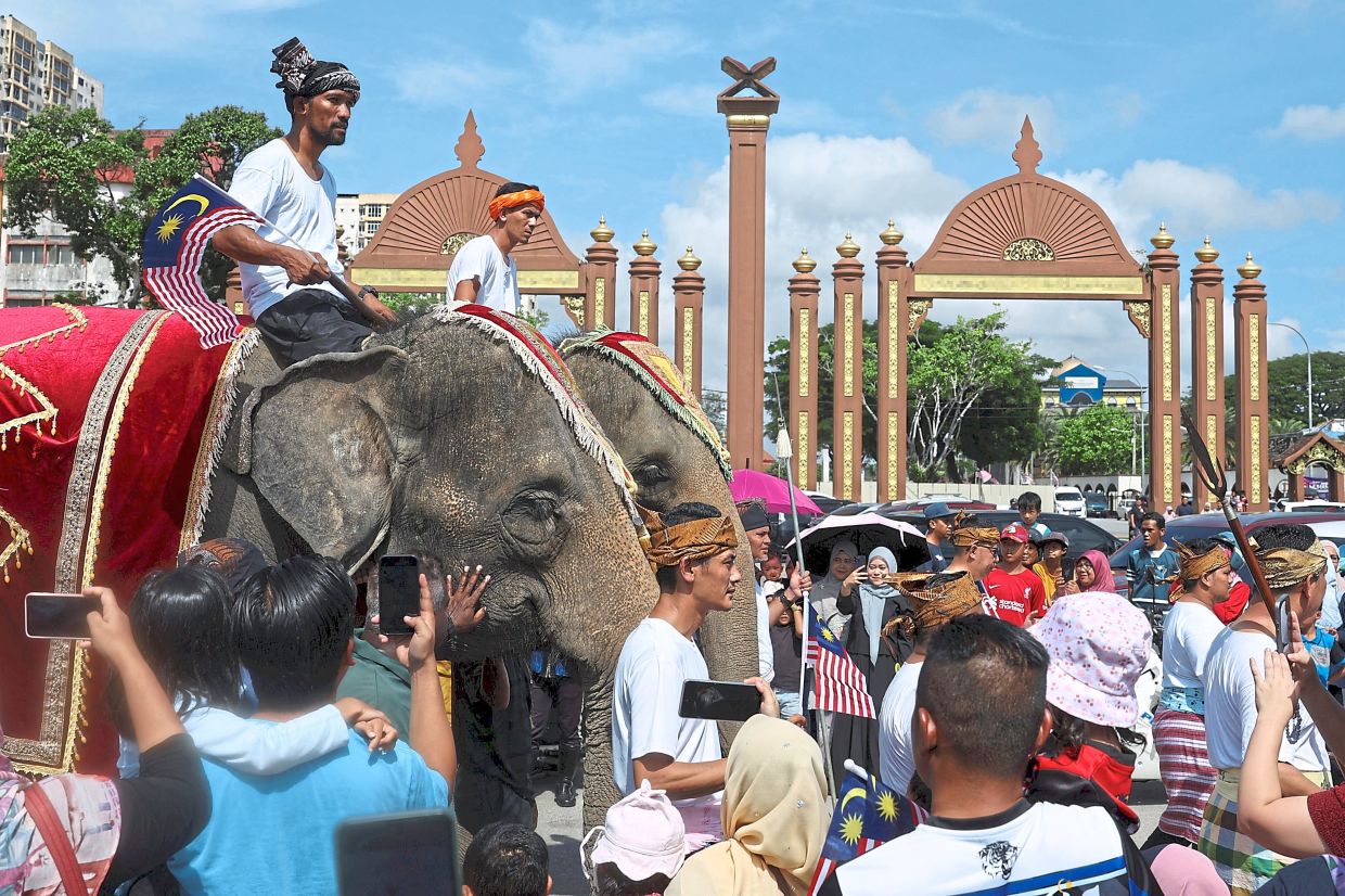 Big surprise: Crowds in Kota Baru cheering on as elephants Sanum dan Cherry made their appearance during Malaysia Day celebrations at Istana Balai Besar.