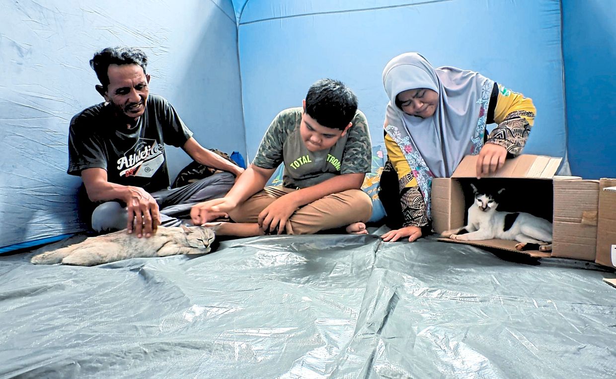 ‘Part of the family’: Mogway (left) and Nakel (inside the box) are lucky to have a devoted human family, Suhaimi Mohd, his wife Suzielianna and their son Ruzaimi.