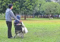 Continue efforts to foster understanding of dementia 