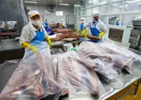 Vietnam calls on US to rethink seafood ban as trade talks grind on
