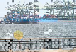 Singapore's exports fall 11.3% y-o-y in August, much weaker than forecast