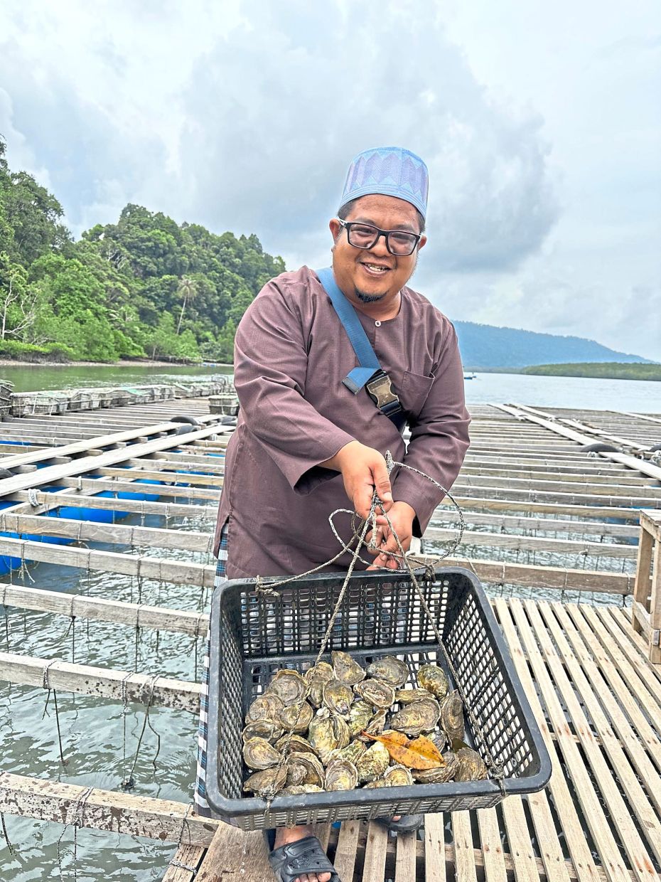 Cleaner water means healthier oysters and better incomes for oyster farmers. — Courtesy photo