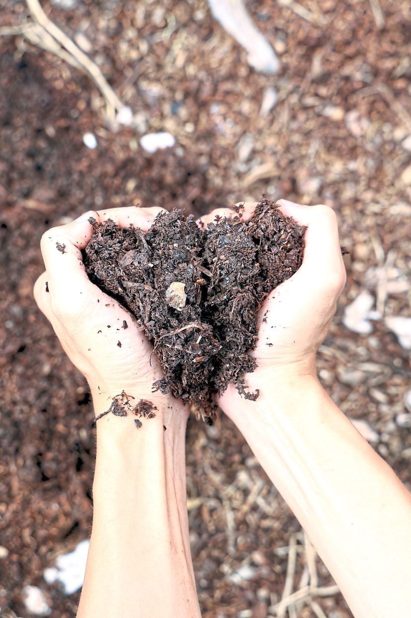 A close-up of the compost.