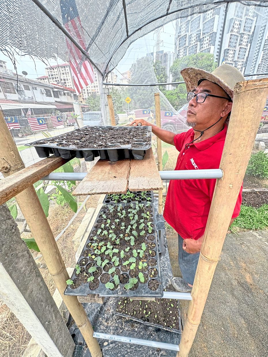 Asri inspecting the seedlings in the nursery he constructed. Photo: The Star/Ming Teoh