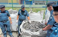 Penang Customs foil municipal waste smuggling bid