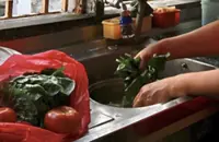 ‘Hire Indian helpers legally’