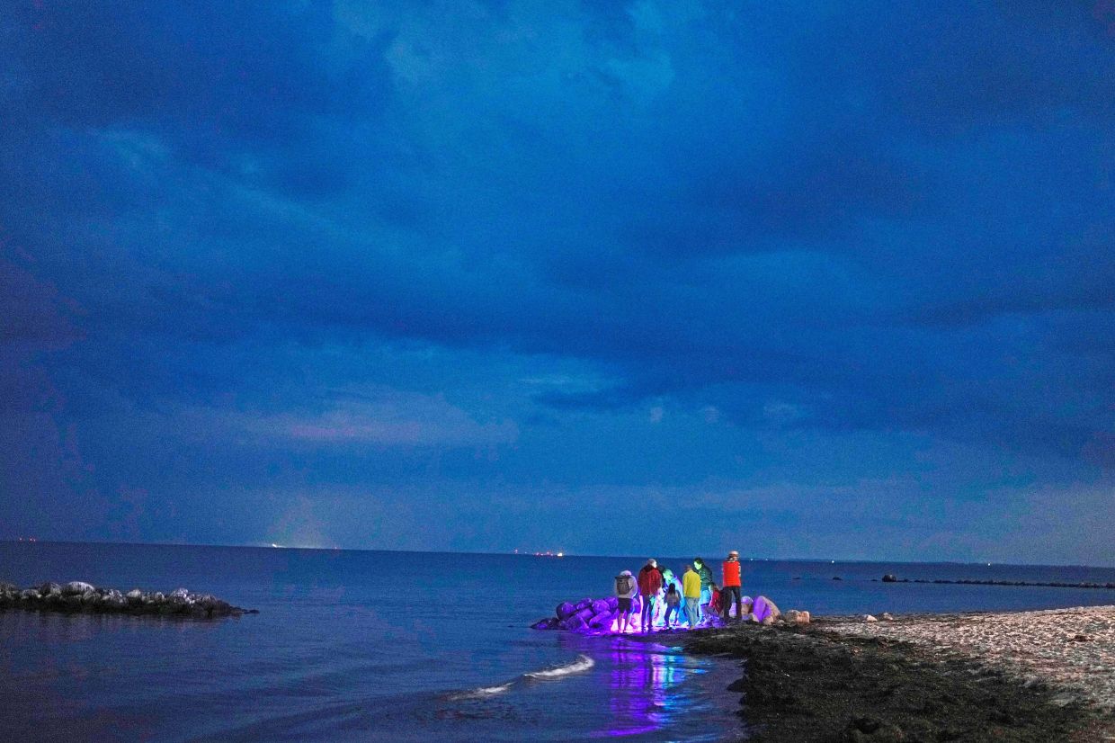 Participants searching for amber using black light lamps during a guided hunt on the beach in Dahme.