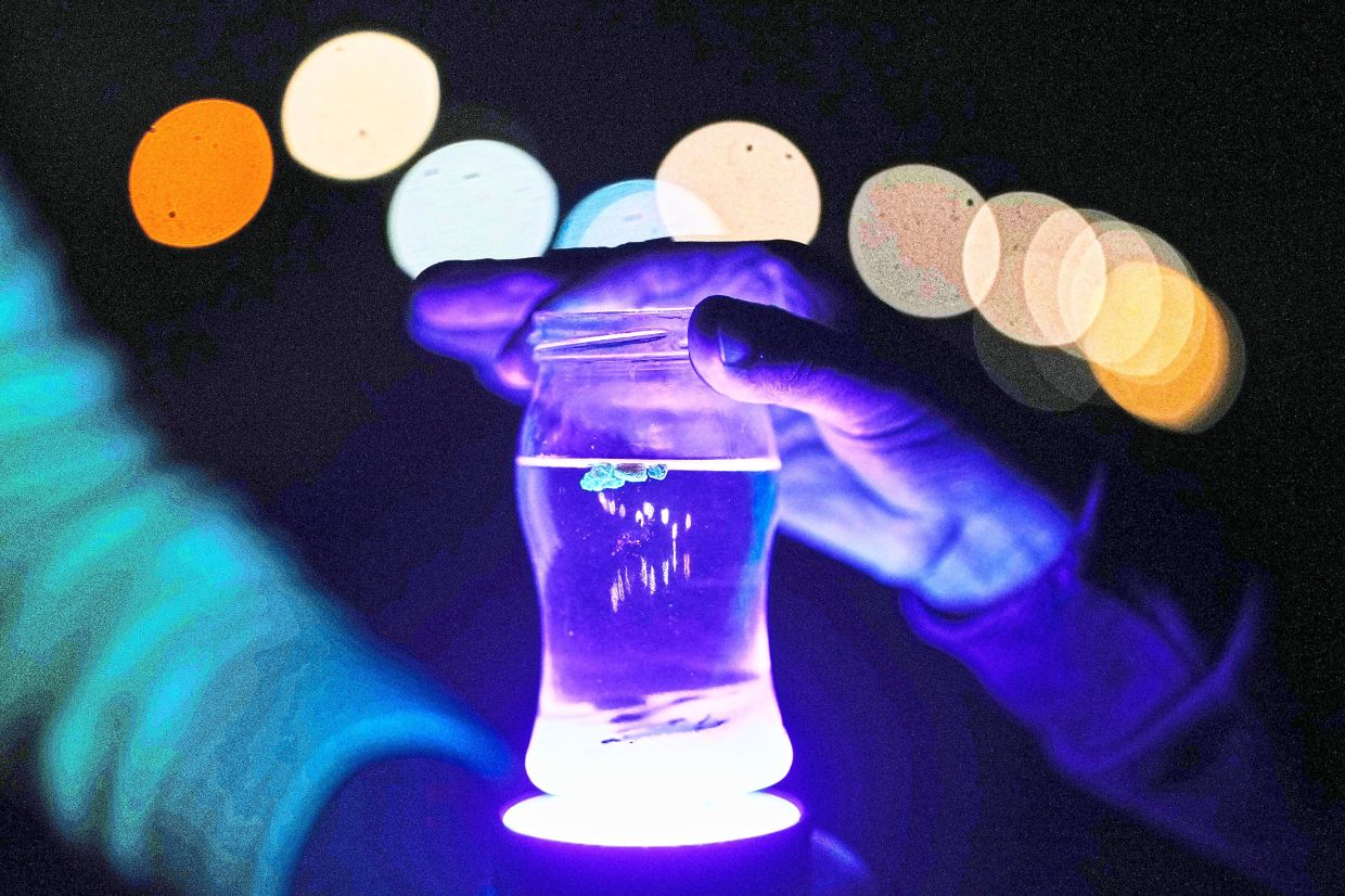 Participants holding a glass of salt water and a black light lamp to examine amber during a guided amber hunt.