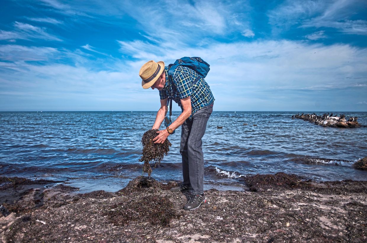 Tourist Guenter Hildebrandt searching for amber during a hunt.