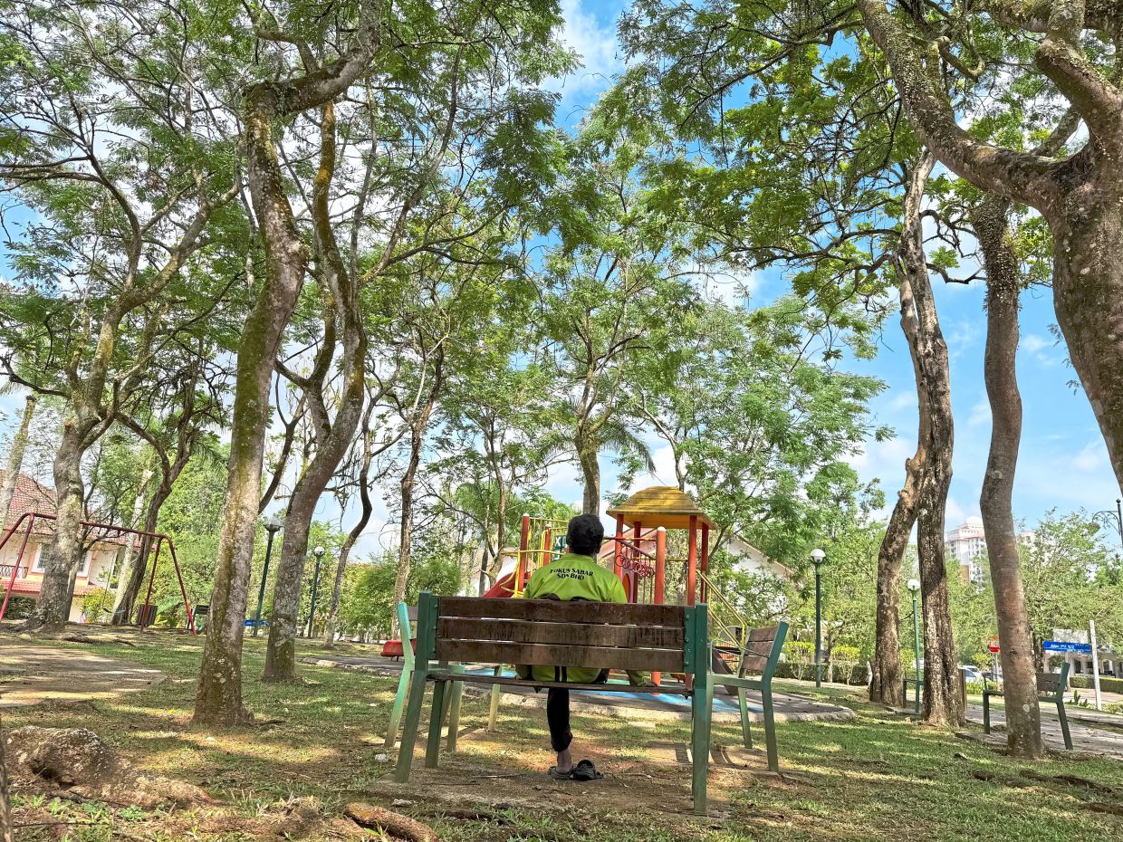 The shady canopies of the saga trees provide a cool respite at a children’s playground in Jalan P11 K/12, Precinct 11, Putrajaya.