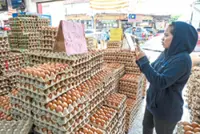 Egg prices up but will stabilise