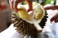 How China's new 'durian express' recalls emperor's efforts to sate consort's lychee love