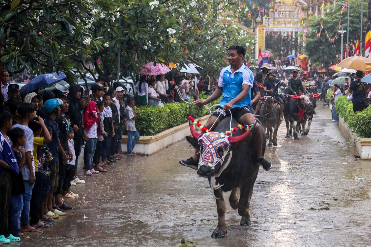 People ride buffaloes during the second day of the Pchum Ben festival, a traditional celebration honouring ancestors, at Sithor village in Kandal province, Cambodia, on Monday, September 22, 2025. -- Photo: REUTERS/Roun Ry