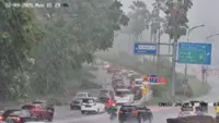 Spate of fallen trees in KL after heavy rain