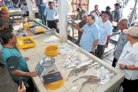Amir: 300-litre monthly petrol allocation is sufficient