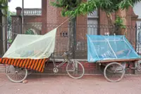 Dengue cases on the rise