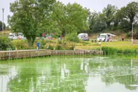 Life on a lake choked with algae