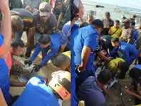 Crocodile caught after Batu Ferringhi beach drama