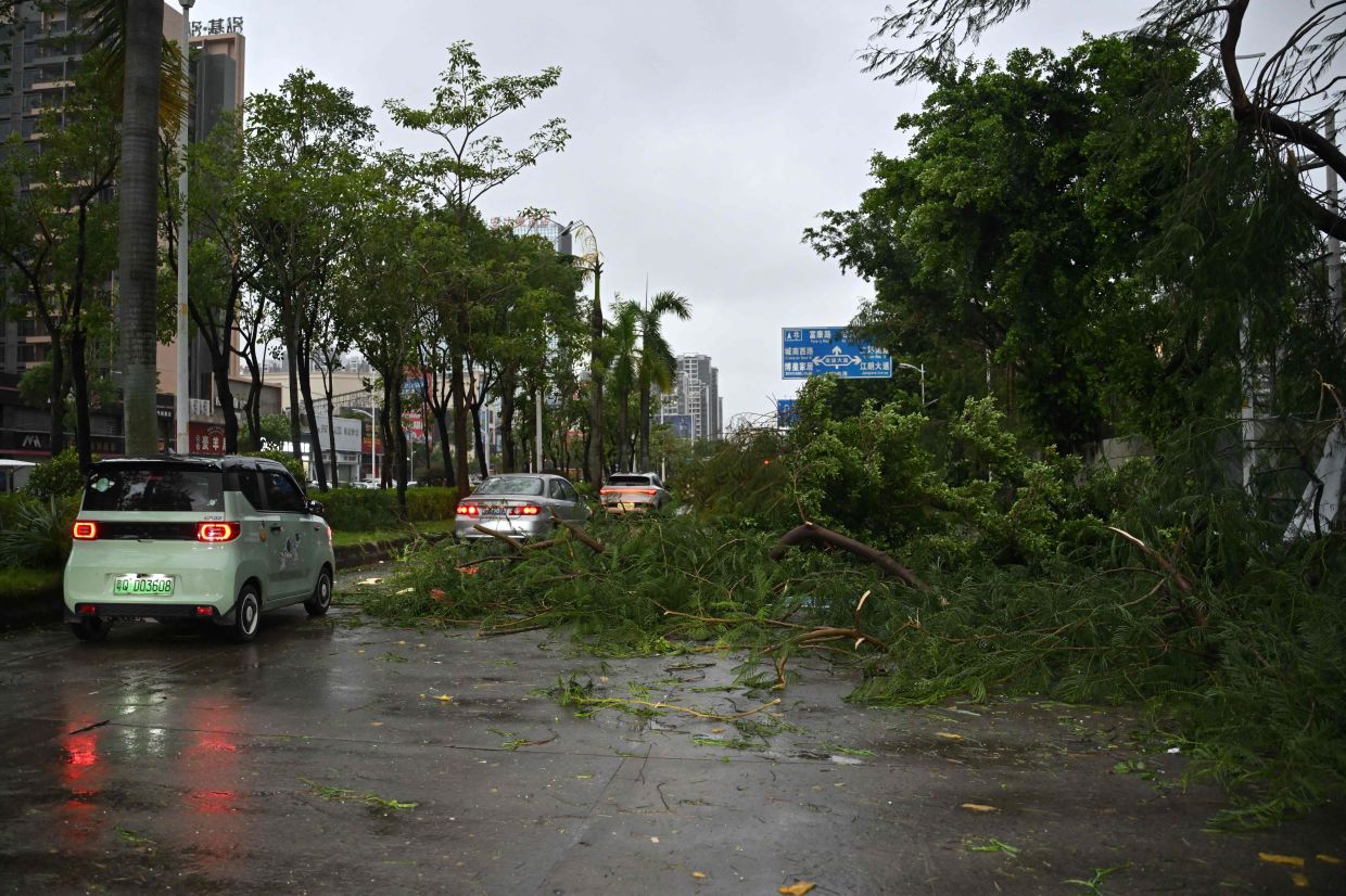 Vehicles drive past fallen trees after the passing of Typhoon Ragasa in Yangjiang, southern Chinas Guangdong province on September 24, 2025. Fierce winds, pounding rain and rough seas battered southern China on September 24 as powerful Typhoon Ragasa made landfall in Guangdong province after killing at least 17 in Taiwan. - Photo: AFP