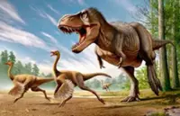 QuickCheck: Did dinosaurs have feathers?