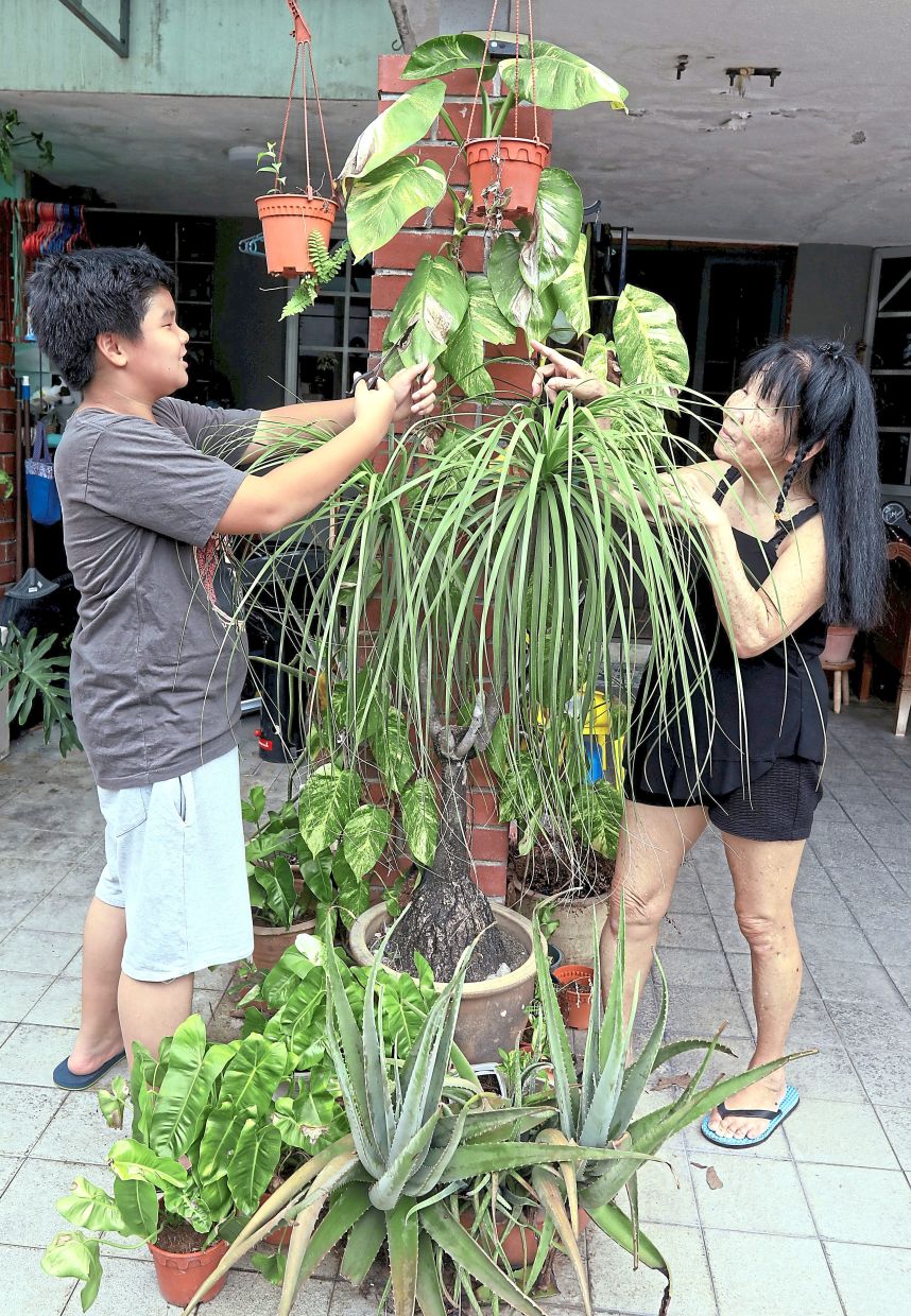 Evan tends the garden with his grandaunt, Christine Lim, a hobby that deepens his love for nature.