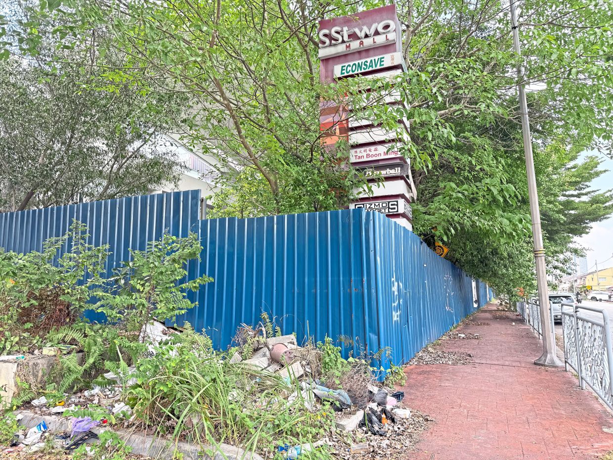 Overgrown vegetation and rubbish seen outside the hoarding set up around the property.