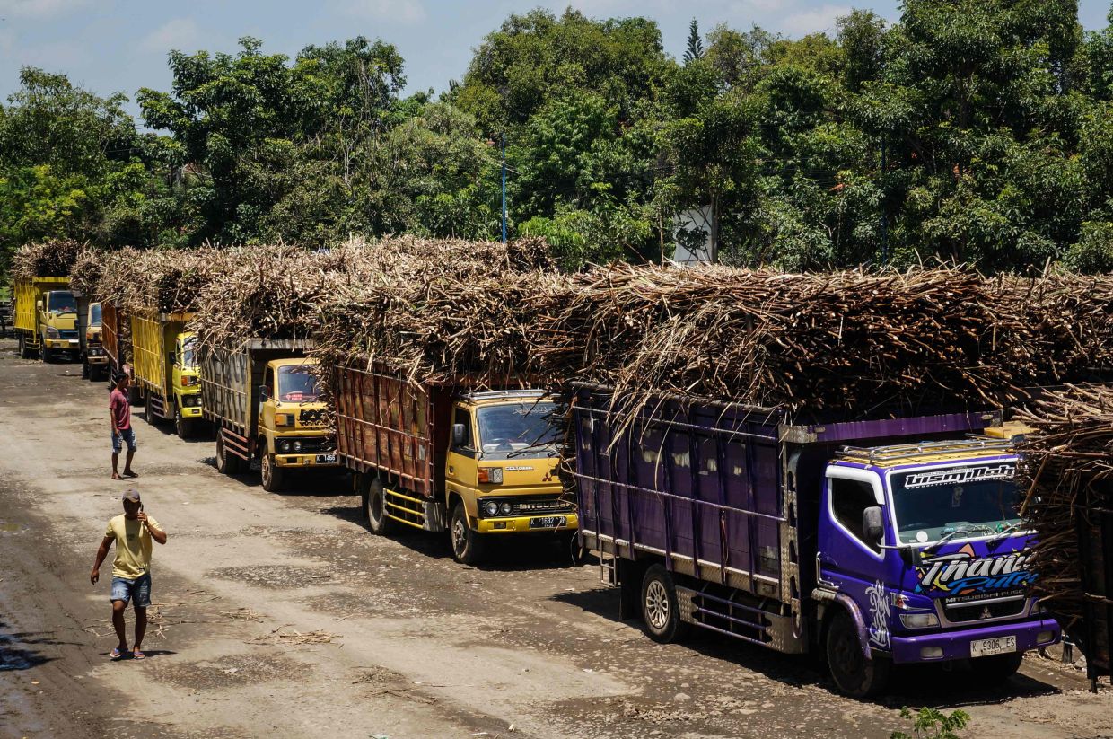 Trucks loaded with harvested sugarcane wait in line to sell to a processing factory in Pati, Central Java. -- Photo by AFP