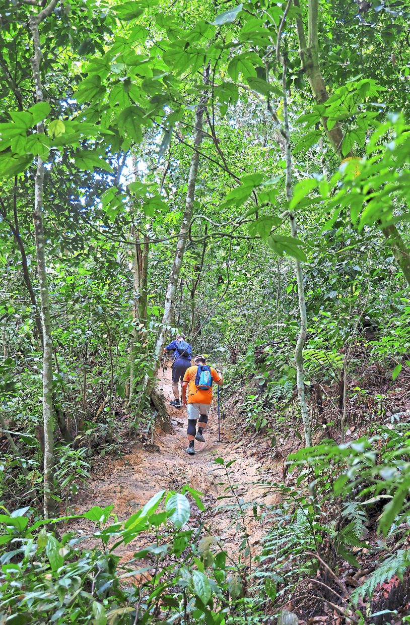 Hikers exploring a trail at Bukit Kiara Federal Park. — Photos: MUHAMAD SHAHRIL ROSLI, ART CHEN and SAMUEL ONG/The Star