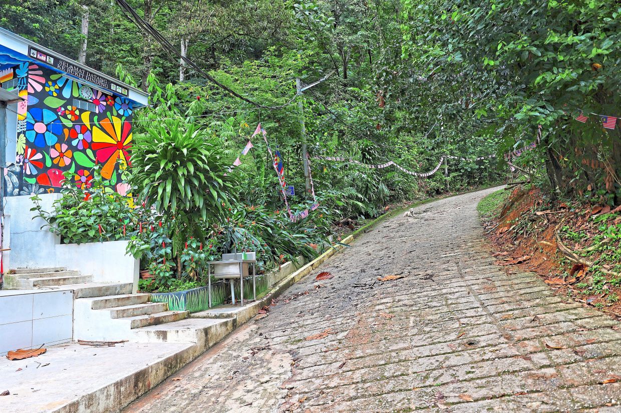 Hiking trail at Bukit Dinding.