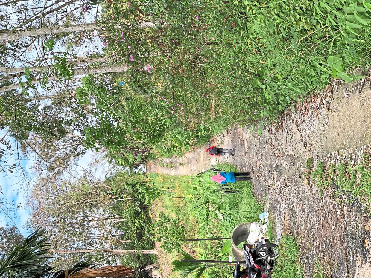 The new trailhead leading to Broga HIll built by MPKj.is steep but had poles and ropes on the side for support.