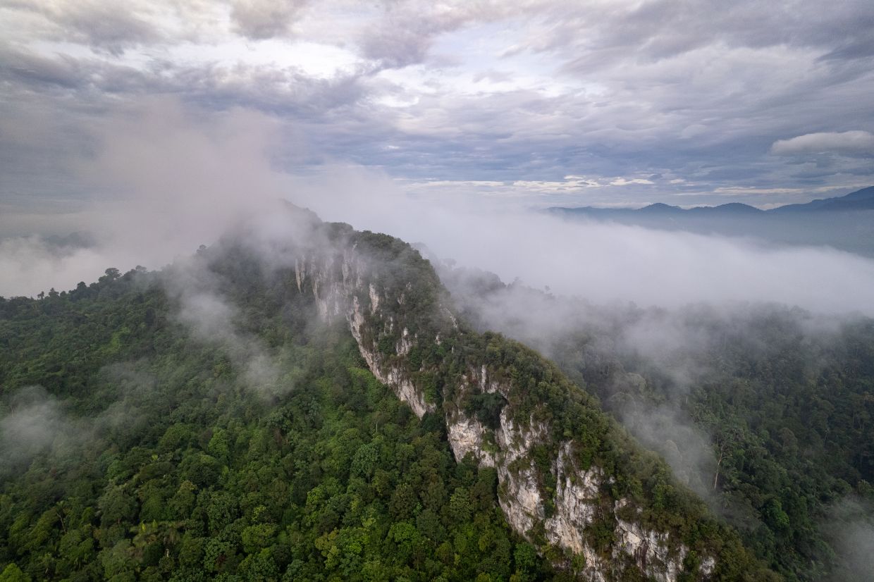 Tabur Hill, located in Taman Bukit Melawati, Gombak —also locally known as Hangus Hill —offers hikers a breathtaking challenge along the 14km quartz ridge, rewarding them with spectacular mist-shrouded views.