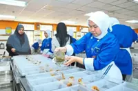 New food safety policy part of govt's commitment to maintaining public health